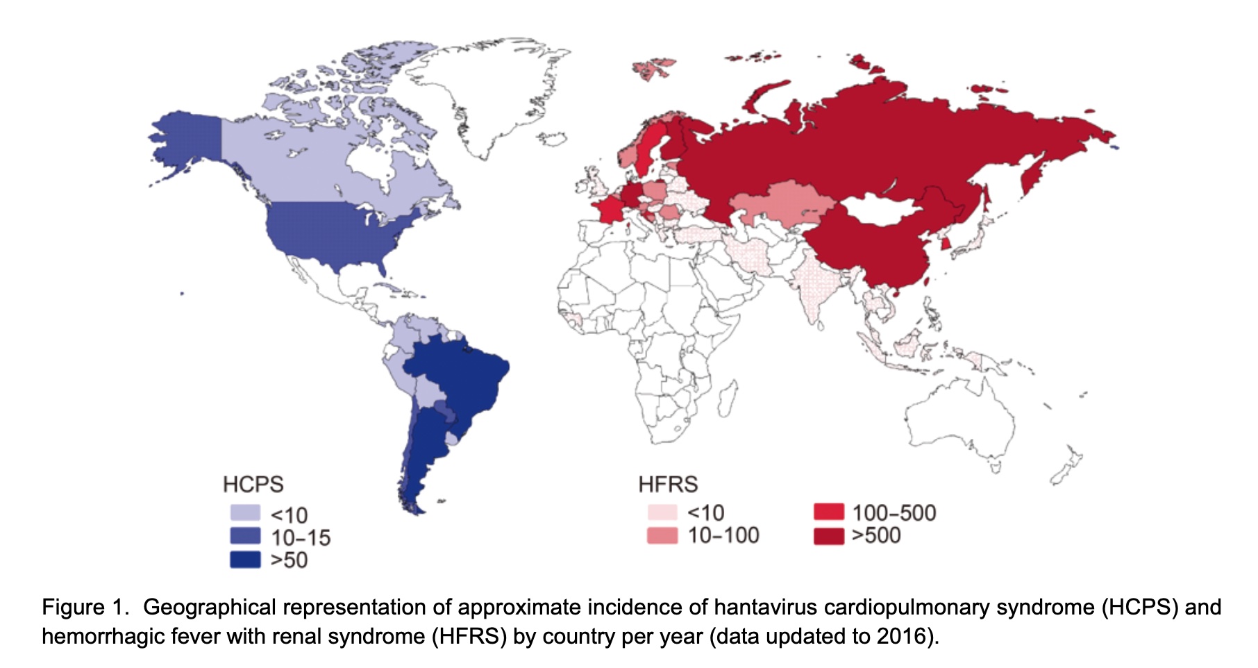 The Future Trajectory: Will Hantavirus Become a Global Travel Threat?